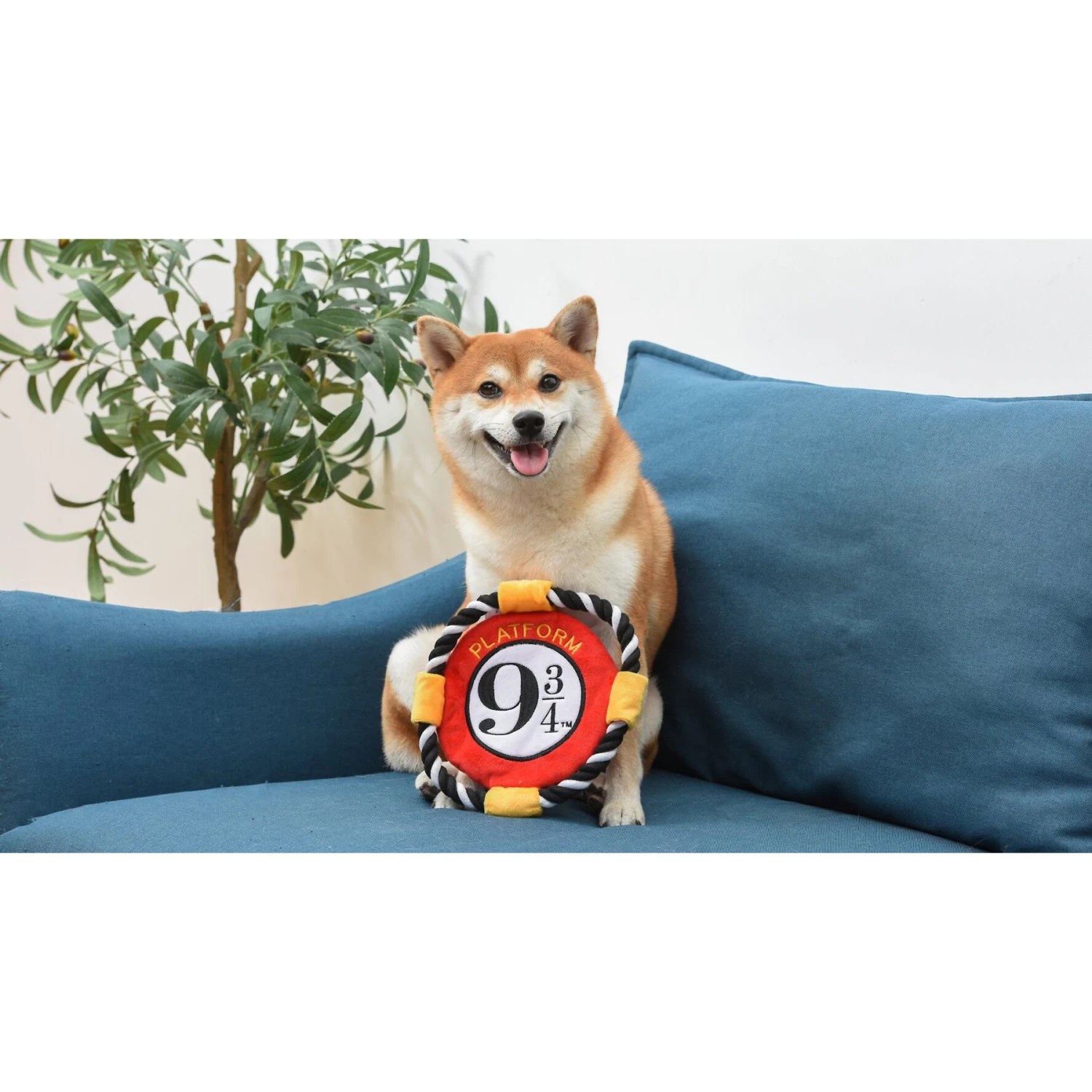 Fetch For Pets Harry Potter 9 3/4 Platform Frisbee Dog Toy 7 Fetch For Pets Harry Potter 9 3/4 Platform Frisbee Dog Toy - Image 5