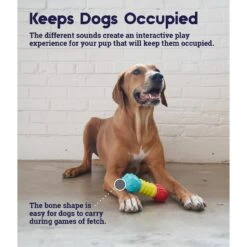 Petstages Multi-Squeak Bone Dog Chew Toy 12 Petstages Multi-Squeak Bone Dog Chew Toy -Dog Supplies 367946 PT3. AC SS1800 V1644525450