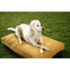 Sunbrella By Austin Horn Collection Indoor/Outdoor Double Sided Elevated Dog Bed -Dog Supplies 368986 MAIN. AC SS1800 V1648074398