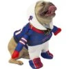 Modern Hero NFL Running Dog Costume