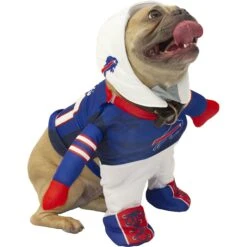 Modern Hero NFL Running Dog Costume