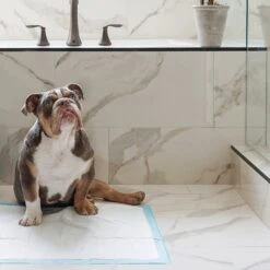 Four Paws Wee-Wee Superior Performance Dog Pee Pads, 14 Count -Dog Supplies 49141 PT2. AC SS1800 V1627947371