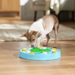 Frisco Seek & Discover Interactive Puzzle Dog Toy, Moderate -Dog Supplies 506250 PT5. AC SS1800 V1674664929