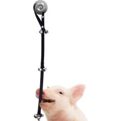 SunGrow Hanging & Communication Tool Dog & Cat Training Potty Doorbell, 34-in -Dog Supplies 533950 PT2. AC SS1800 V1657658635