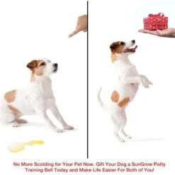 SunGrow Hanging & Communication Tool Dog & Cat Training Potty Doorbell, 34-in -Dog Supplies 533950 PT3. AC SS1800 V1657658635