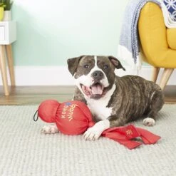 KONG Mega Wubba Dog Toy, Color Varies -Dog Supplies 53475 PT4. AC SS1800 V1605339710