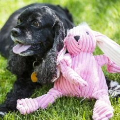 HuggleHounds Barnyard Durable Plush Corduroy Knottie Bunny Squeaky Dog Toy -Dog Supplies 53736 PT2. AC SS1800 V1601014253