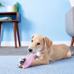 Ruff Dawg FlyingFish Dog Fetch Toy, Color Varies -Dog Supplies 53808 PT7. AC SS1800 V1515535539