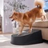 Frisco Plastic Easy Step Cat & Dog Stair -Dog Supplies 542390 MAIN. AC SS1800 V1671829661