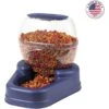Bergan Gourmet Gravity Refill Dog Feeder -Dog Supplies 54822 MAIN. AC SS1800 V1677957436