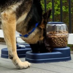 Bergan Gourmet Gravity Refill Dog Feeder -Dog Supplies 54822 PT3. AC SS1800 V1677960189