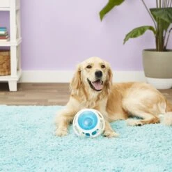 JW Pet Rockin Treat Ball 8 JW Pet Rockin Treat Ball -Dog Supplies 55169 PT2. AC SS1800 V1530541353