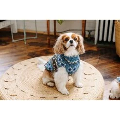 Chilly Dog Fairisle Wool Dog Sweater, Blue 12 Chilly Dog Fairisle Wool Dog Sweater, Blue -Dog Supplies 577734 PT3. AC SS1800 V1659025727