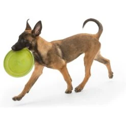 West Paw Zogoflex Zisc Flying Disc Dog Toy -Dog Supplies 58046 PT2. AC SS1800 V1629321107