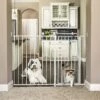 Carlson Pet Products Maxi Extra Tall Walk-Thru Dog Gate With Pet Door 1 Carlson Pet Products Maxi Extra Tall Walk-Thru Dog Gate With Pet Door -Dog Supplies 58495 MAIN. AC SS1800 V1569011602