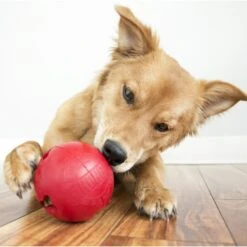 KONG Classic Biscuit Ball Dog Toy -Dog Supplies 59149 PT4. AC SS1800 V1603166792