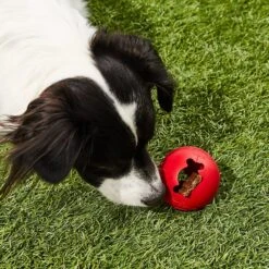 KONG Classic Biscuit Ball Dog Toy -Dog Supplies 59149 PT5. AC SS1800 V1603160486