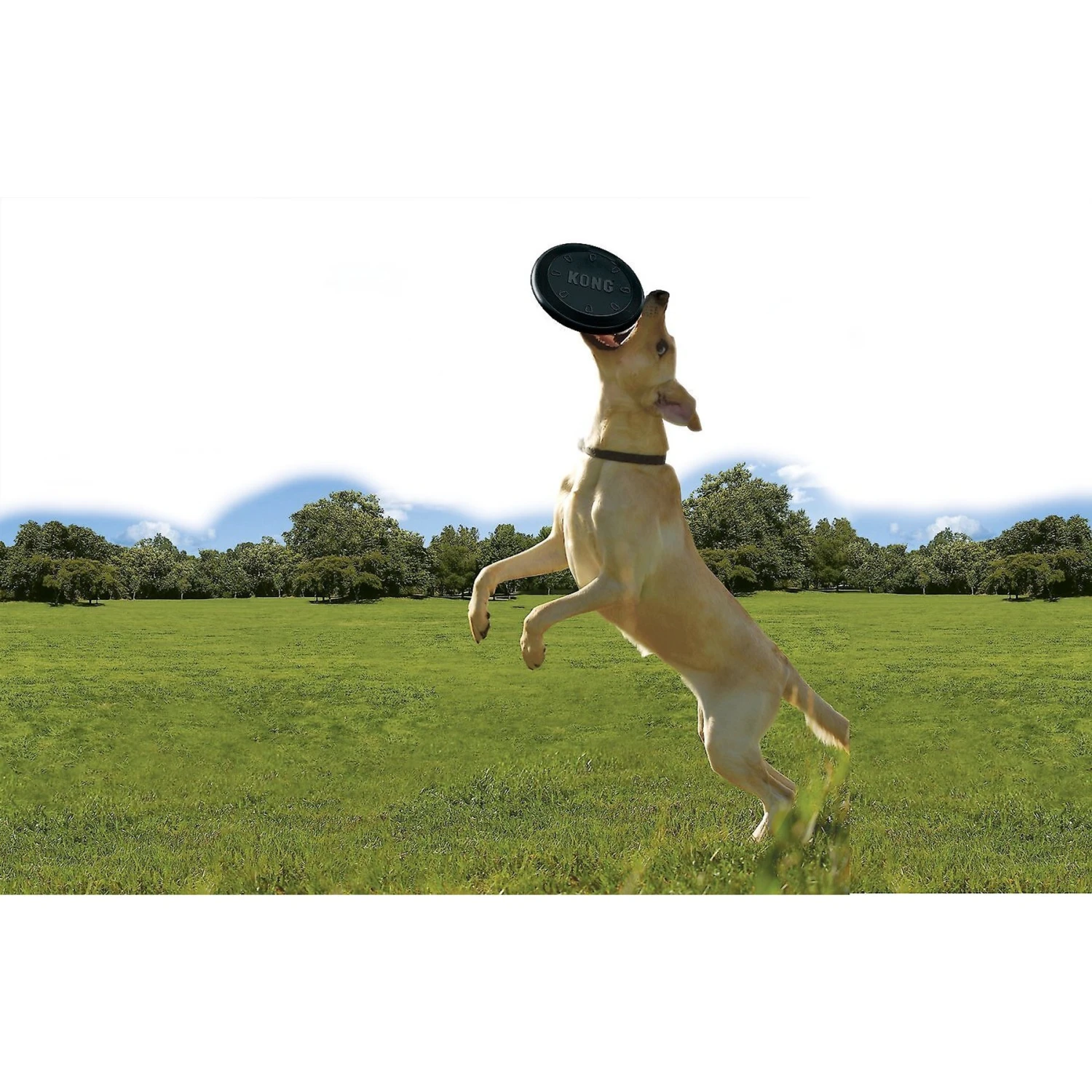 KONG Extreme Flyer Dog Toy 6 KONG Extreme Flyer Dog Toy - Image 4