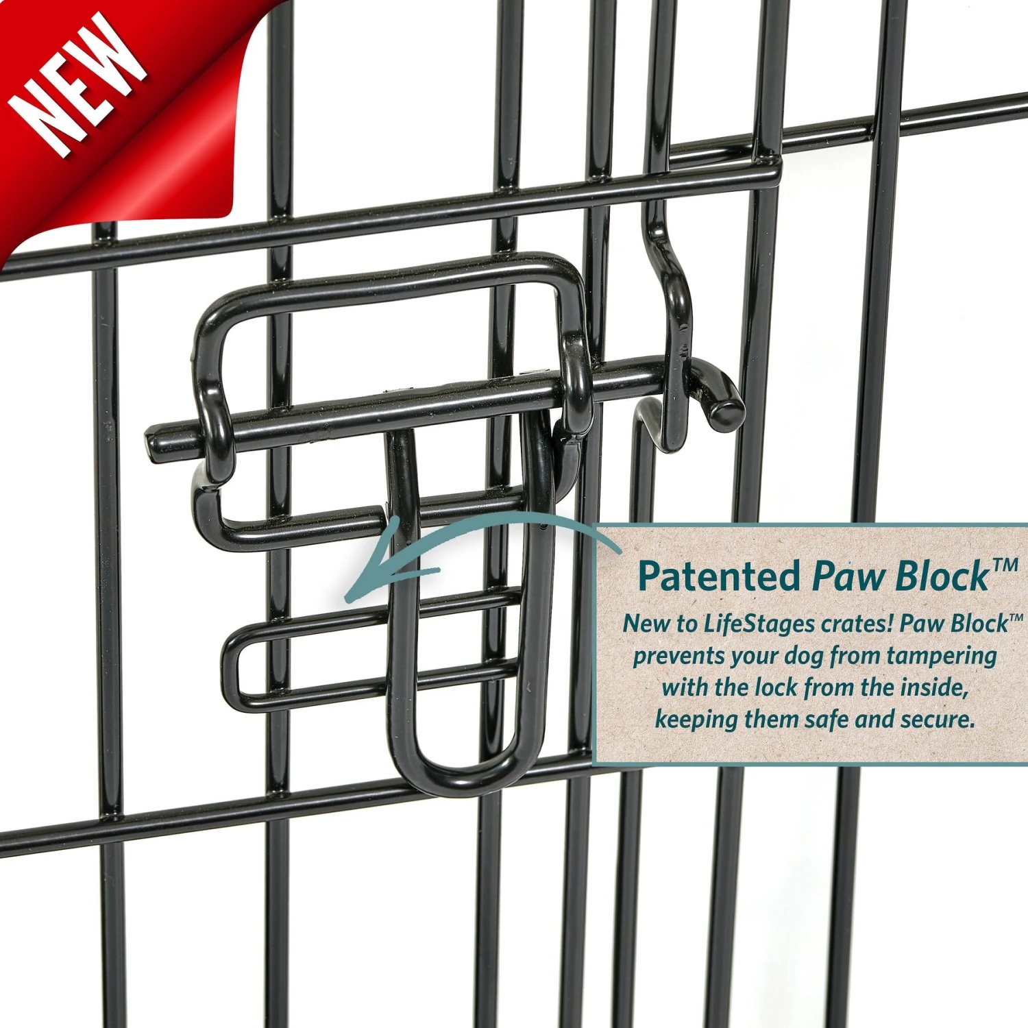 MidWest LifeStages Single Door Collapsible Wire Dog Crate 7 MidWest LifeStages Single Door Collapsible Wire Dog Crate - Image 5
