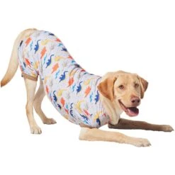 Frisco Dinosaur Dog & Cat Jersey PJs 10 Frisco Dinosaur Dog & Cat Jersey PJs -Dog Supplies 609062 PT4. AC SS1800 V1681488688
