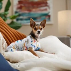 Frisco Dinosaur Dog & Cat Jersey PJs 12 Frisco Dinosaur Dog & Cat Jersey PJs -Dog Supplies 609062 PT6. AC SS1800 V1676643314