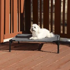 K&H Pet Products All Weather Elevated Dog Cot Bed, Gray