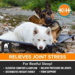 K&H Pet Products All Weather Elevated Dog Cot Bed, Gray -Dog Supplies 613782 PT2. AC SS1800 V1660310453