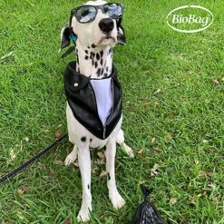 BioBag Large Pet Waste Bags 11 BioBag Large Pet Waste Bags -Dog Supplies 61625 PT4. AC SS1800 V1628863632