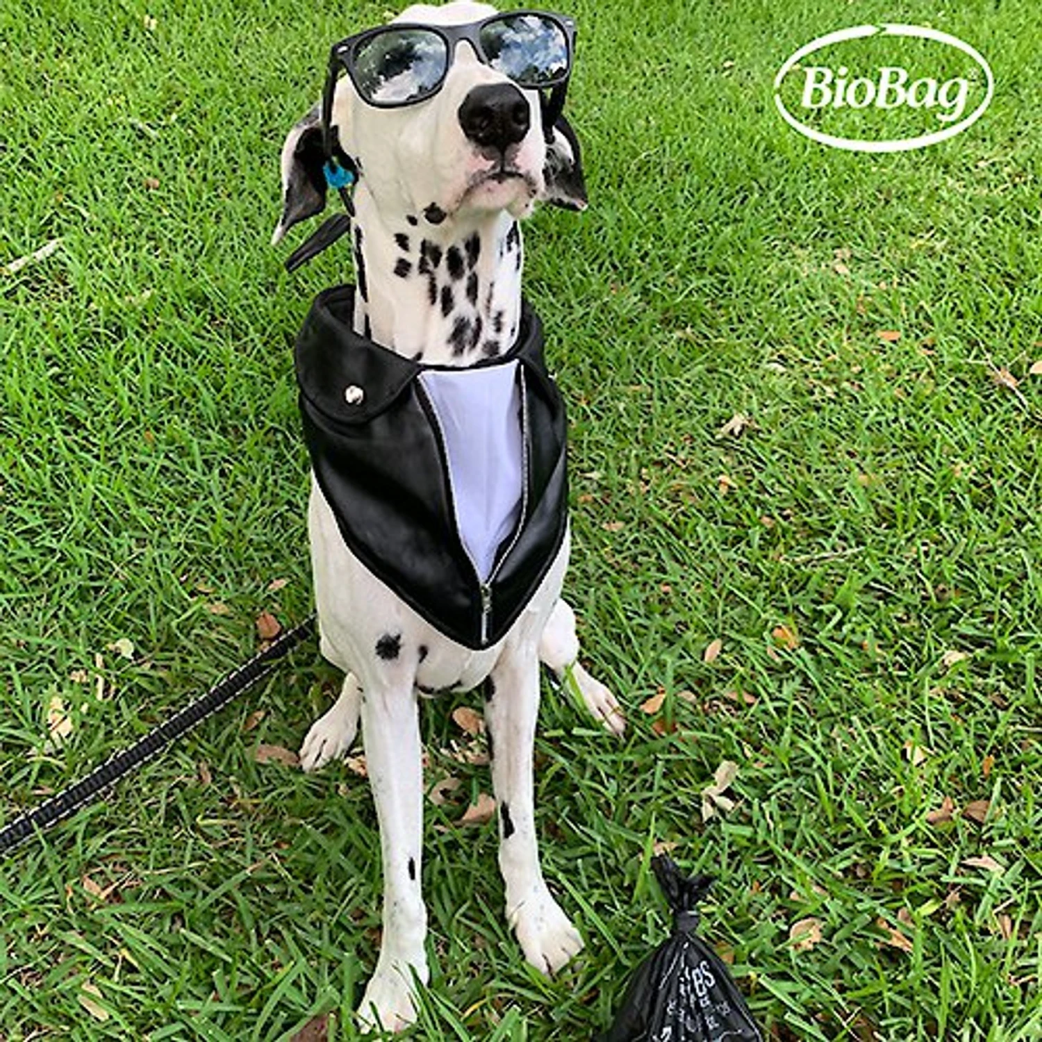 BioBag Large Pet Waste Bags 7 BioBag Large Pet Waste Bags - Image 5