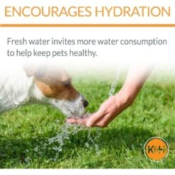 K&H Pet Products CleanFlow Filtered Water Dog Bowl 13 K&H Pet Products CleanFlow Filtered Water Dog Bowl -Dog Supplies 61715 PT3. AC SS1800 V1637624815