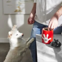 Disney Table Scraps Mickey Mouse Hot Diggity Dog Recipe Upcycled Jerky Dog Treats, 5-oz Bag & Disney Mickey Mouse Ceramic Dog & Cat Treat Jar -Dog Supplies 623510 PT8. AC SS1800 V1661896152
