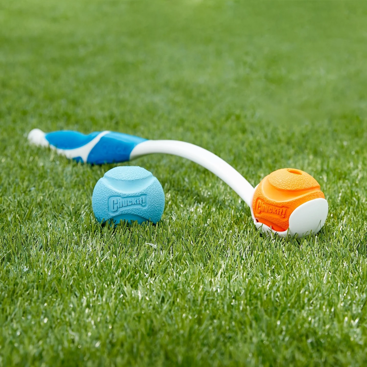 Chuckit! Fetch Ball Dog Toy, Color Varies 4 Chuckit! Fetch Ball Dog Toy, Color Varies - Image 2