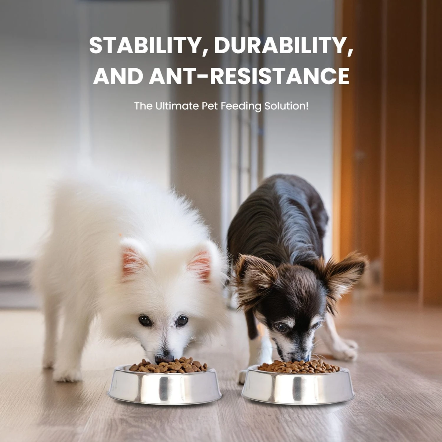 Iconic Pet Anti Ant Stainless Steel Non Skid Dog & Cat Bowl, 2 Count 5 Iconic Pet Anti Ant Stainless Steel Non Skid Dog & Cat Bowl, 2 Count - Image 3