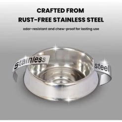 Iconic Pet Anti Ant Stainless Steel Non Skid Dog & Cat Bowl, 2 Count 10 Iconic Pet Anti Ant Stainless Steel Non Skid Dog & Cat Bowl, 2 Count -Dog Supplies 652046 PT3. AC SS1800 V1663880784