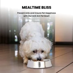 Iconic Pet Anti Ant Stainless Steel Non Skid Dog & Cat Bowl, 2 Count 11 Iconic Pet Anti Ant Stainless Steel Non Skid Dog & Cat Bowl, 2 Count -Dog Supplies 652046 PT4. AC SS1800 V1663880779