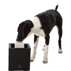 Dogit Design Alfresco Outdoor Drinking Plastic Fountain -Dog Supplies 65640 PT3. AC SS1800 V1626361309