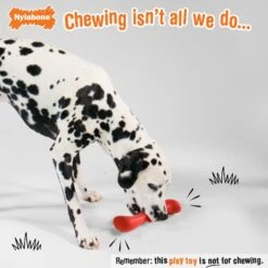 Nylabone Creative Play Stik-GO Interactive Dog Toy, Red 13 Nylabone Creative Play Stik-GO Interactive Dog Toy, Red -Dog Supplies 665702 PT2. AC SS1800 V1679081895