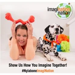 Nylabone Creative Play Stik-GO Interactive Dog Toy, Red 18 Nylabone Creative Play Stik-GO Interactive Dog Toy, Red -Dog Supplies 665702 PT7. AC SS1800 V1679081203