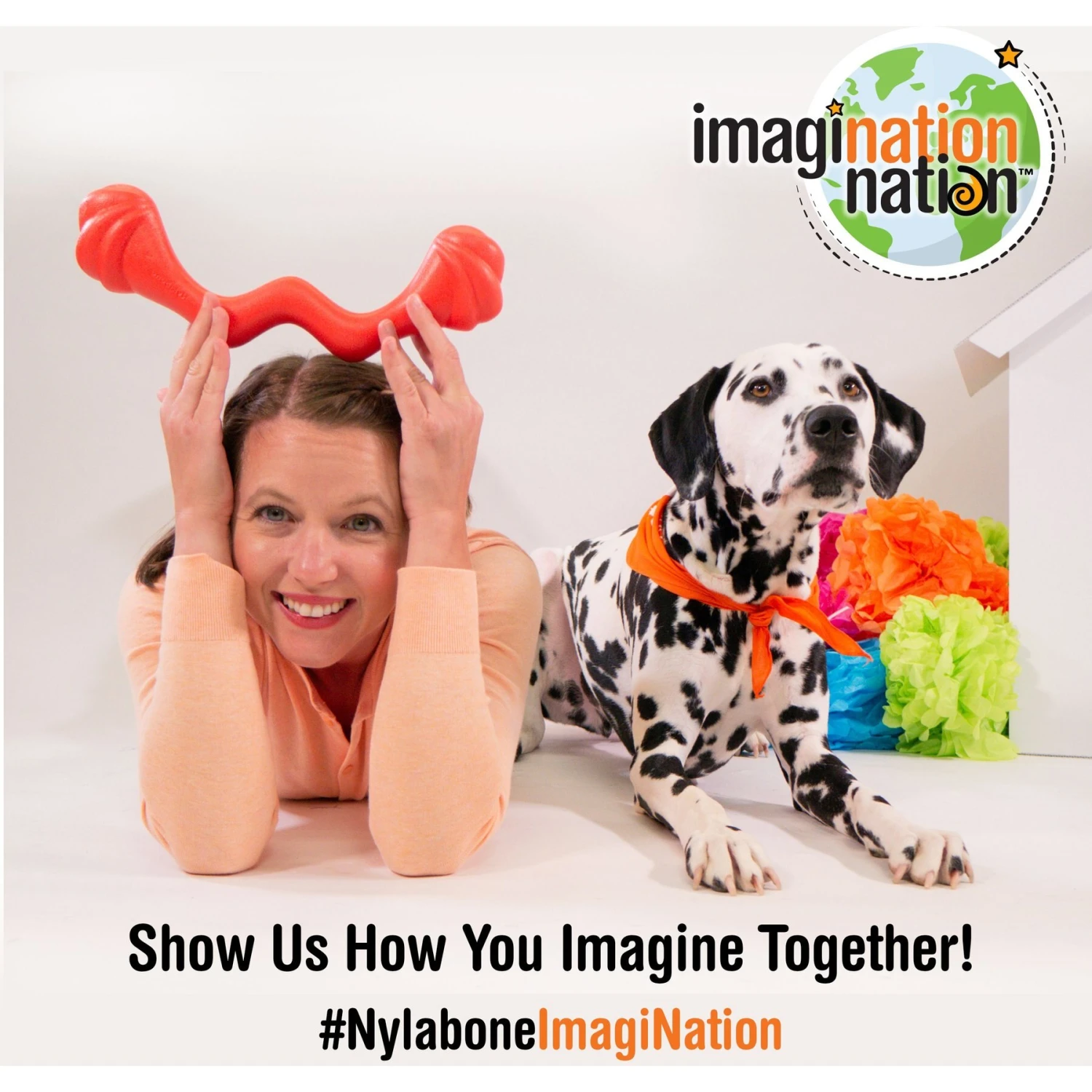 Nylabone Creative Play Stik-GO Interactive Dog Toy, Red 10 Nylabone Creative Play Stik-GO Interactive Dog Toy, Red - Image 8