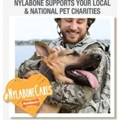 Nylabone Creative Play Stik-GO Interactive Dog Toy, Red 19 Nylabone Creative Play Stik-GO Interactive Dog Toy, Red -Dog Supplies 665702 PT8. AC SS1800 V1679080850