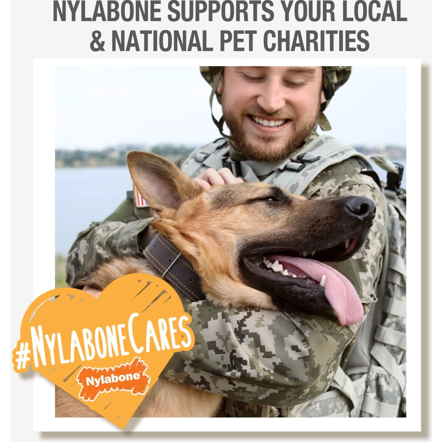 Nylabone Creative Play Stik-GO Interactive Dog Toy, Red 11 Nylabone Creative Play Stik-GO Interactive Dog Toy, Red - Image 9