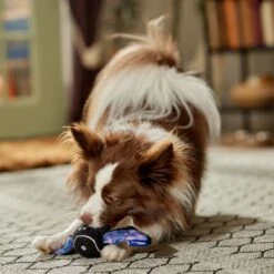 Frisco Halloween Bat Fetch Squeaky Tennis Ball Dog Toy -Dog Supplies 668278 PT3. AC SS1800 V1689350166