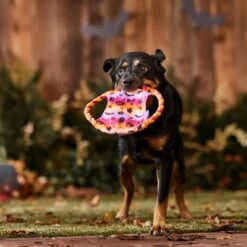 Frisco Halloween Ghost Swirl Fetch Flyer Dog Toy 8 Frisco Halloween Ghost Swirl Fetch Flyer Dog Toy -Dog Supplies 668294 PT3. AC SS1800 V1689278363