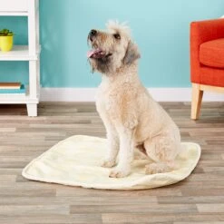 Wee-Wee Leakproof Washable & Reusable Puppy Pad, 30x32-in -Dog Supplies 67829 PT8. AC SS1800 V1505934602