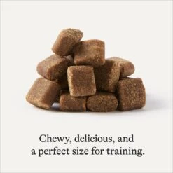 Frisco Giant Charcoal Dog Training & Potty Pads & American Journey Beef Recipe Grain-Free Soft & Chewy Training Bits Dog Treats -Dog Supplies 678566 PT7. AC SS1800 V1681825758