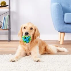 Multipet Nobbly Wobbly Ball Dog Toy, Color Varies -Dog Supplies 68138 PT3. AC SS1800 V1545172125