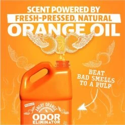 Angry Orange RTU Orange Scented Carpet Odor Eliminator, 128-oz Bottle 15 Angry Orange RTU Orange Scented Carpet Odor Eliminator, 128-oz Bottle -Dog Supplies 697982 PT5. AC SS1800 V1670011703