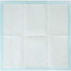 Arm & Hammer Products Puppy Pads With Attractant Dog Poppy Pad -Dog Supplies 700374 PT3. AC SS1800 V1670516848