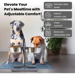 Iconic Pet Adjustable Stainless Steel Elevated Dog Bowl, H Design -Dog Supplies 701886 PT2. AC SS1800 V1668110957