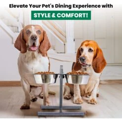 Iconic Pet Adjustable Stainless Steel Elevated Dog Bowl, H Design -Dog Supplies 701886 PT5. AC SS1800 V1668110985